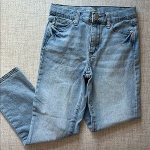 Jordache Light Blue Skinny Jeans